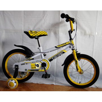 Beautiful Good Price Kids BMX Bikes (FP-KDB117)